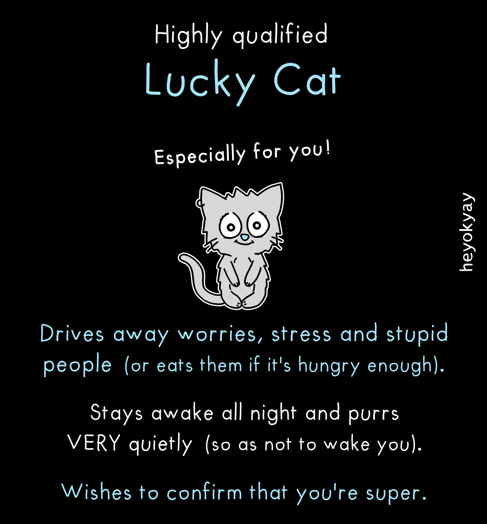 Lucy cat blog